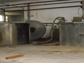 Toumi laine wool export tunisia