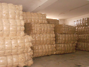 Toumi laine wool export tunisia