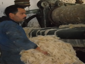 Toumi laine wool export tunisia