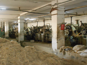 Toumi laine wool export tunisia