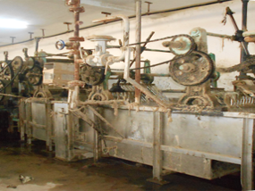 Toumi laine wool export tunisia