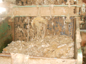 Toumi laine wool export tunisia