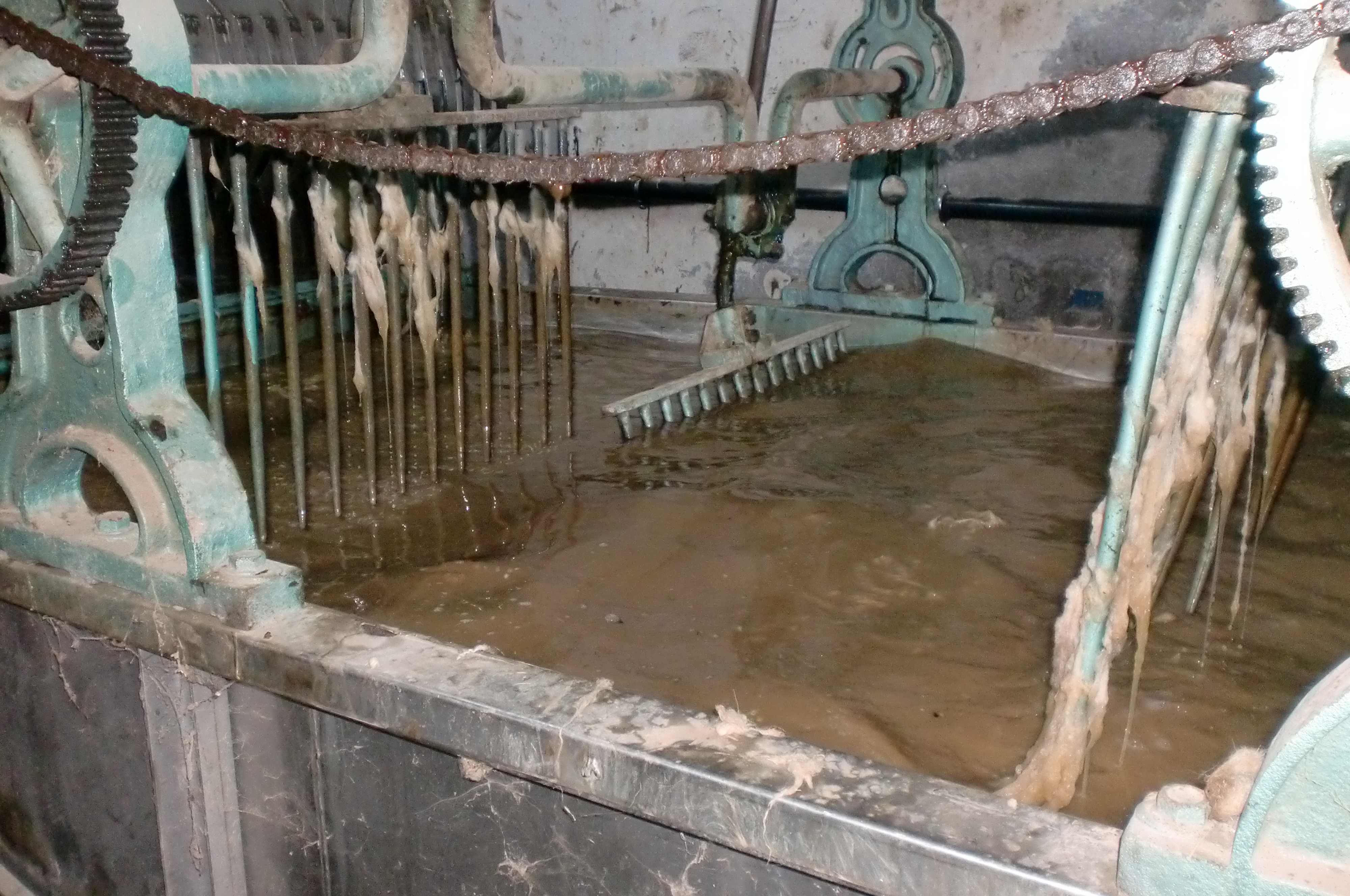 Toumi laine wool export tunisia