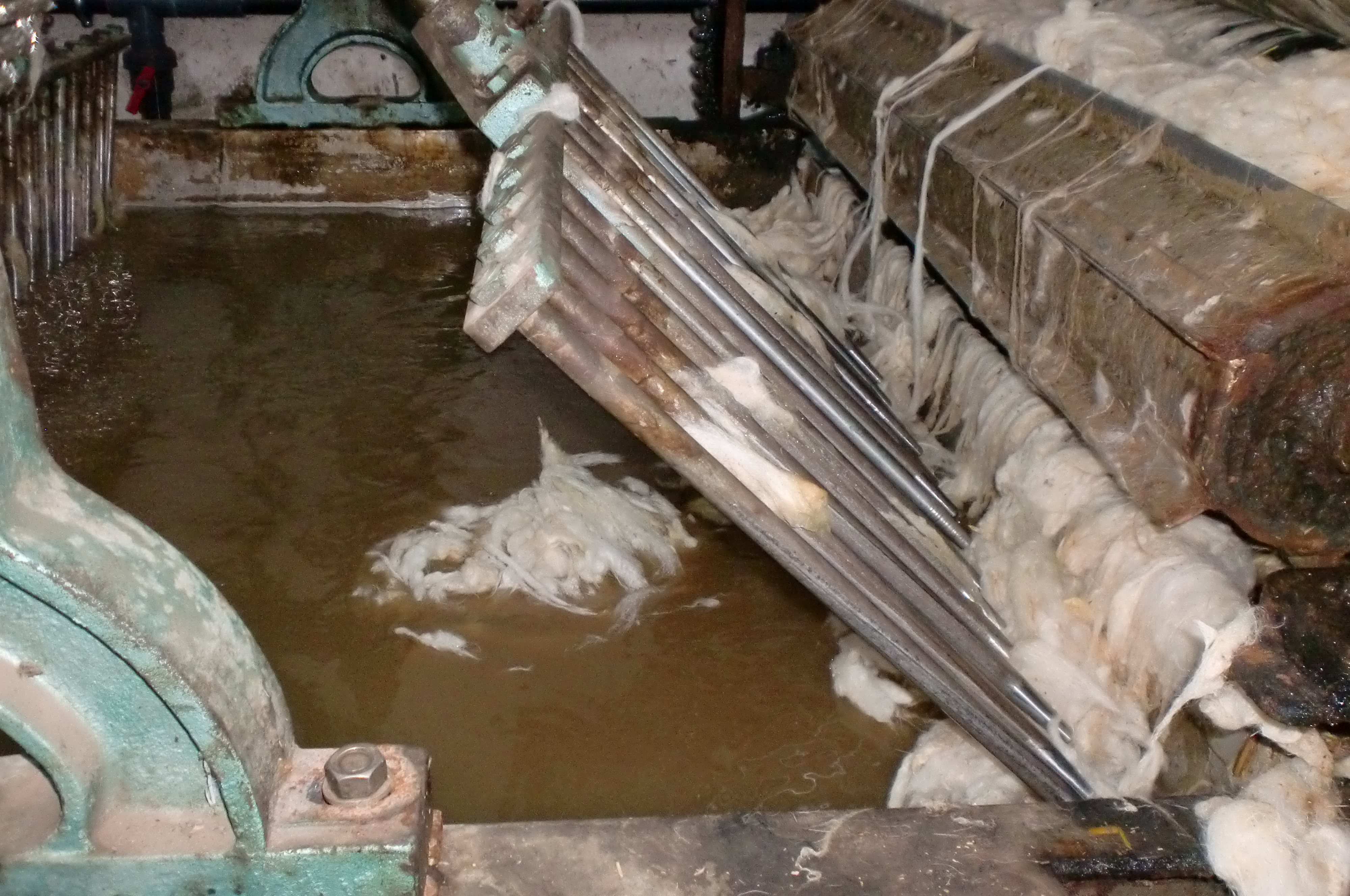 Toumi laine wool export tunisia