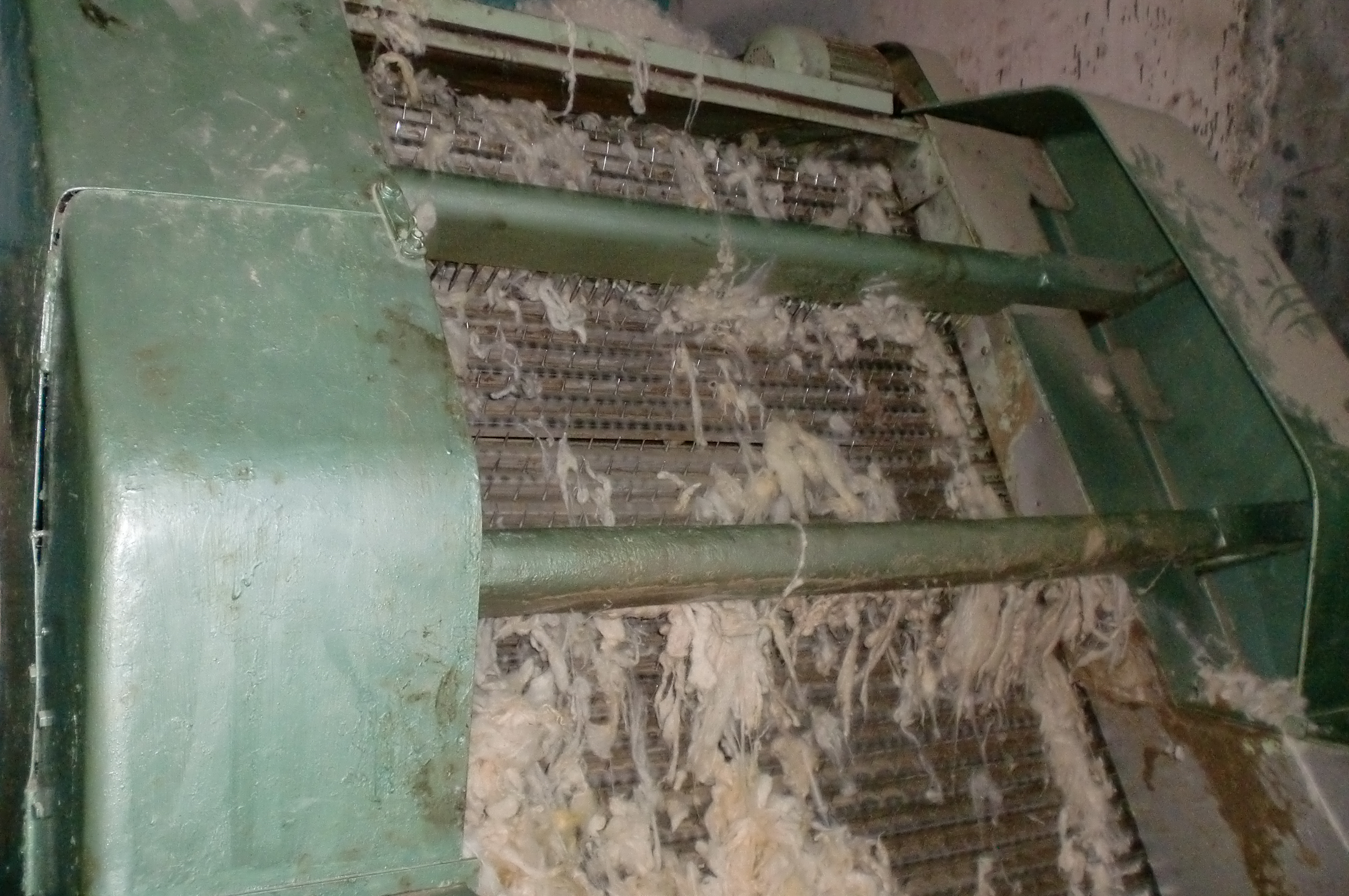 Toumi laine wool export tunisia