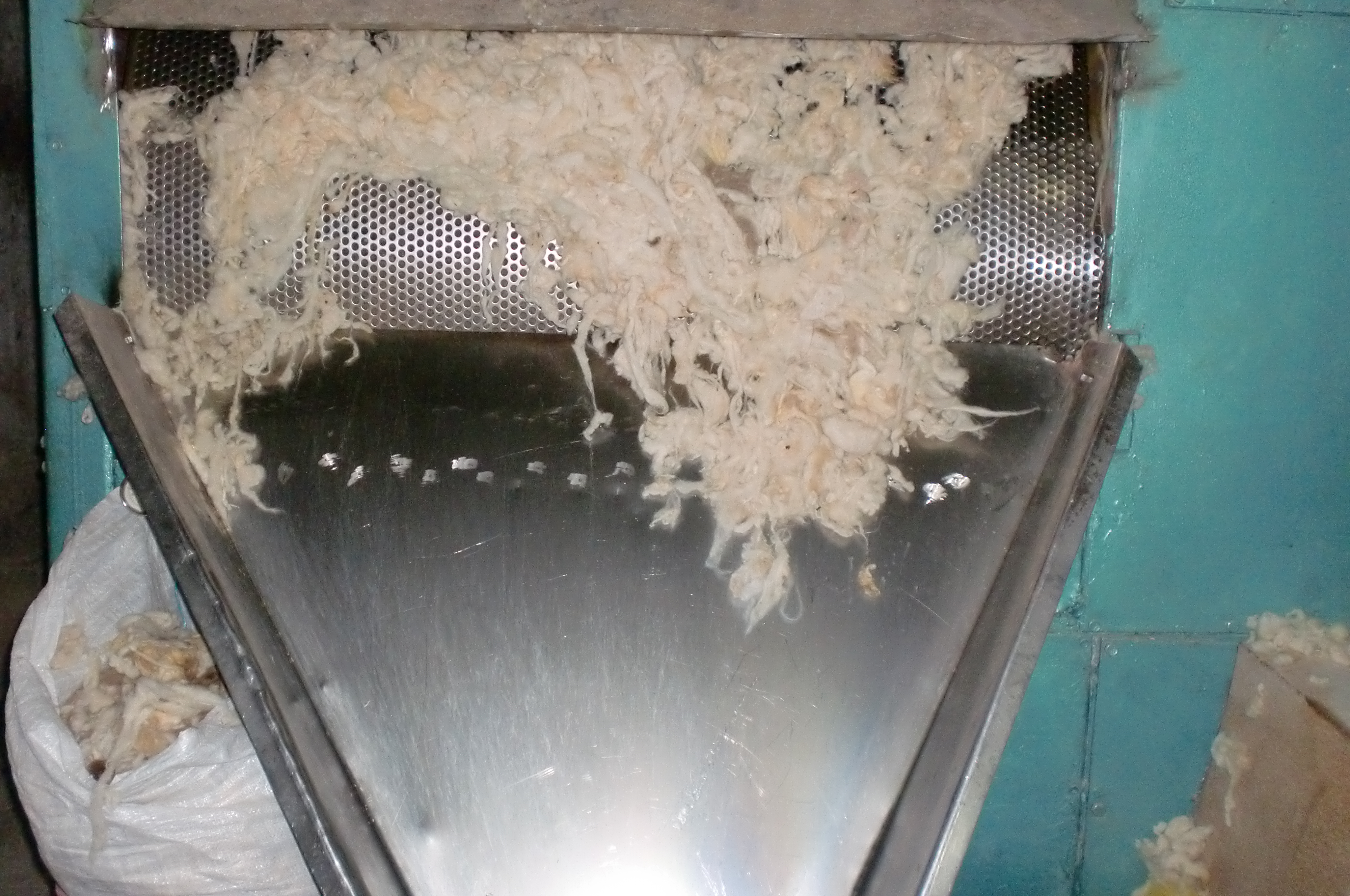 Toumi laine wool export tunisia