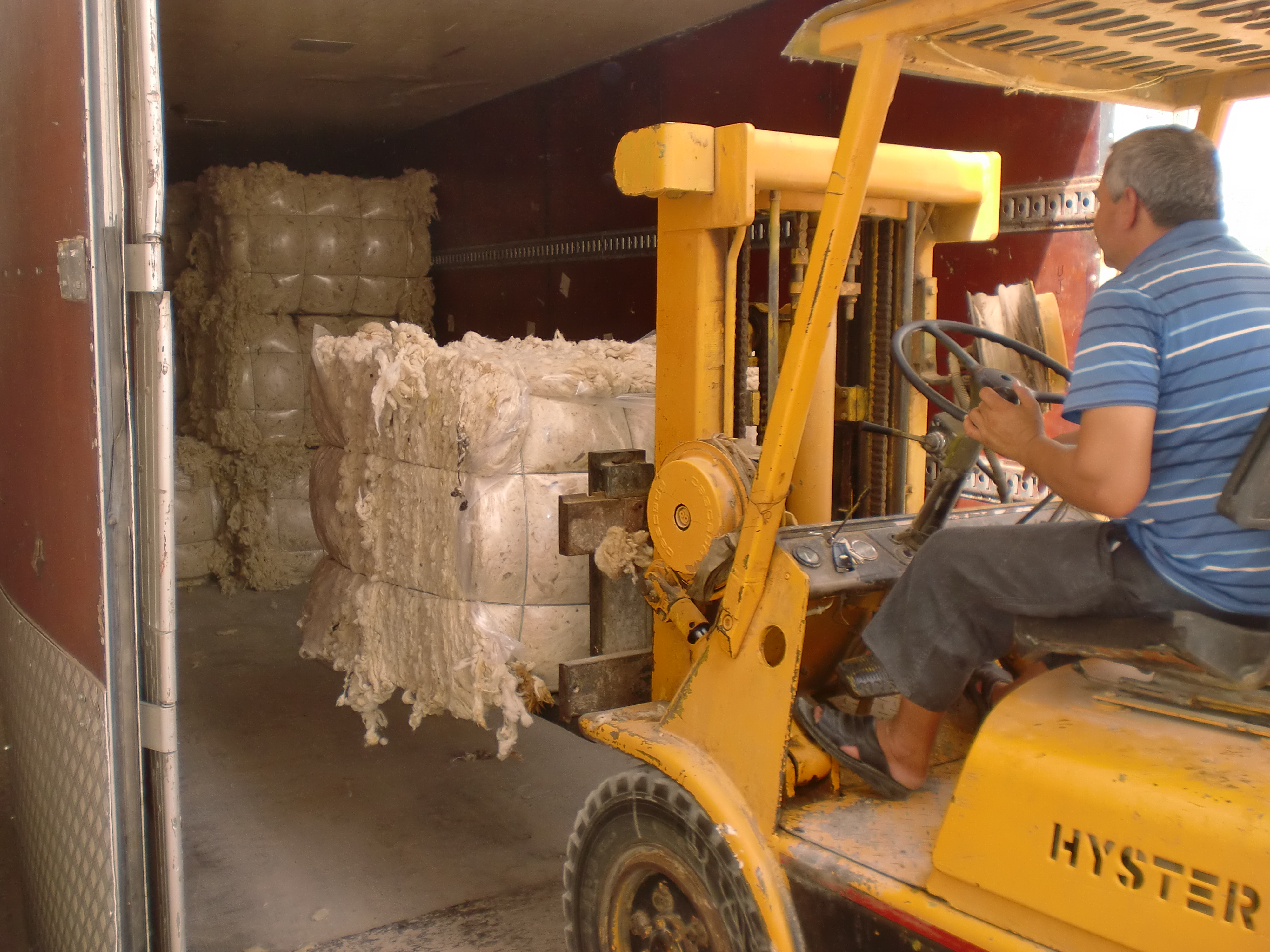 Toumi laine wool export tunisia