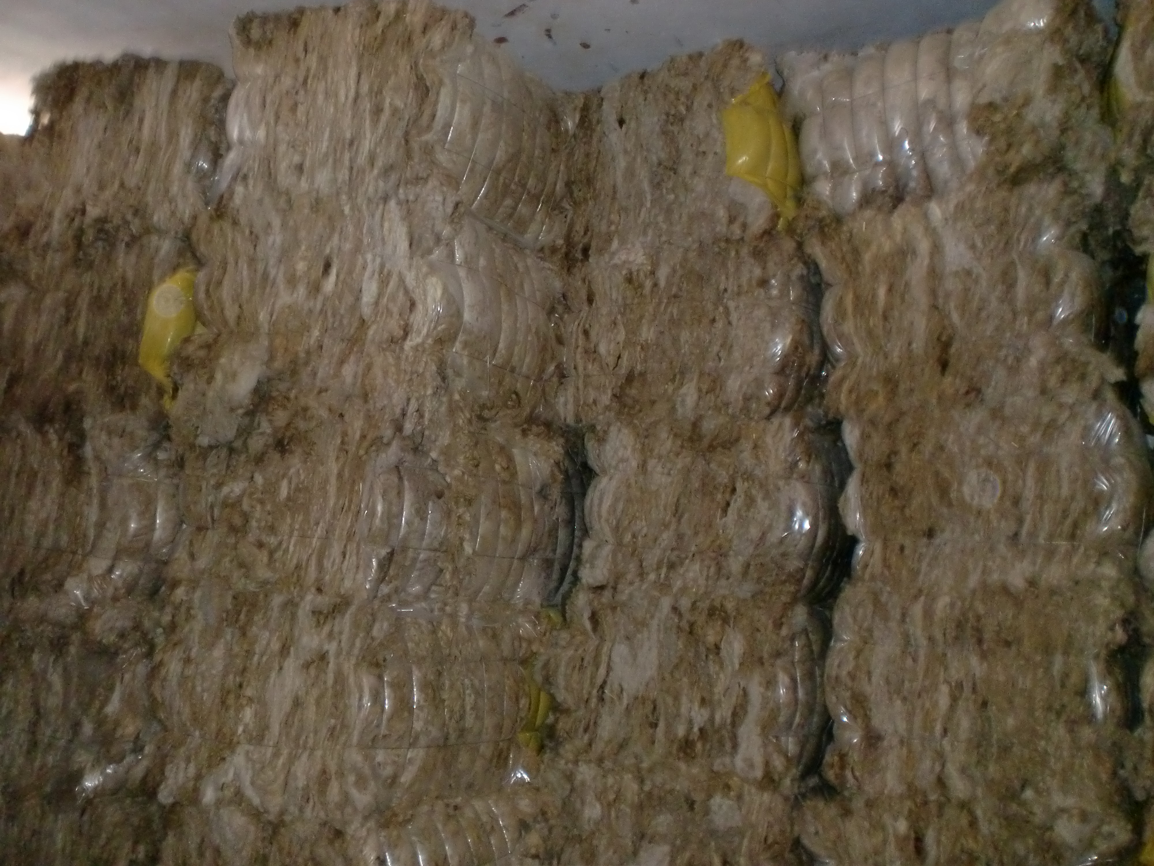 Toumi laine wool export tunisia