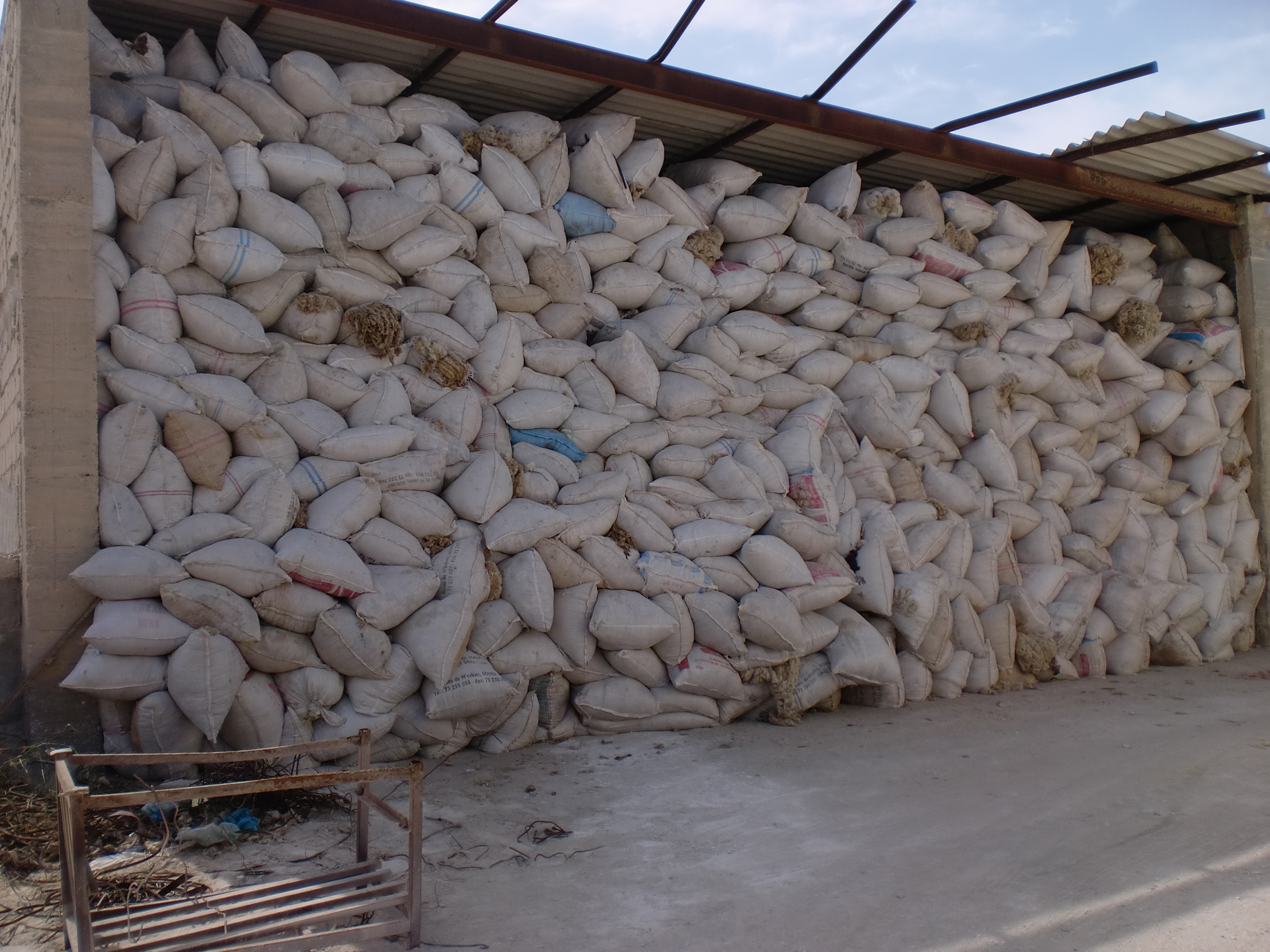 Toumi laine wool export tunisia