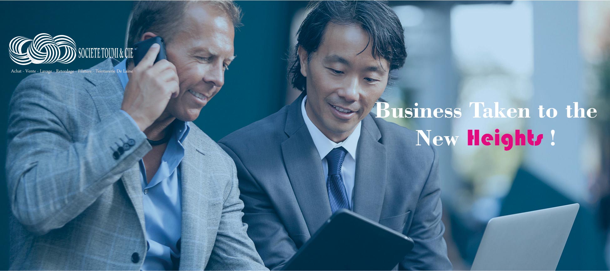 Toumi laine wool export tunisia